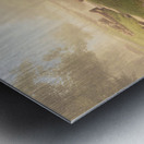 Rose Gardens Pond and Stream Metal print