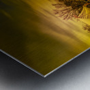 Colonial Williamsburg Armory Metal print