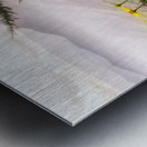 Smoky Mountains Summer Wildflowers Metal print