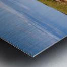 Long Point Lighthouse By Sand Dune on Tip of Cape Cod in Massachusetts Impression metal