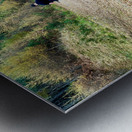 Scenes from the Trail- Decisions Metal print