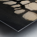 My Cat Walked on my Art Metal print