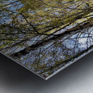 Scottish Highlands Birch Forest Autumnal View Metal print