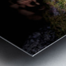 Scenes from the Trail- Forest Mushrooms Metal print