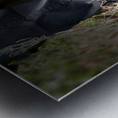 Scenes from the Trail-Standing Metal print