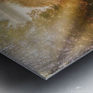 Brandon UK path Metal print