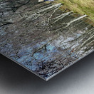 Scenes from the Trail - Impressionistic Dog Walk  Metal print