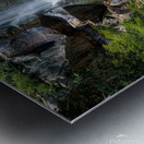 Maymont Park Richmond VA Metal print