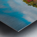 Newport News Park 108 Metal print