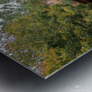 Newport News Park 100 Metal print