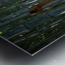 Bamboo Abstract Metal print