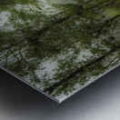 Swampy Yorktown Metal print