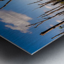 Stick in the Mud 7940 Metal print