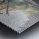 Woodlands Metal print