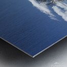 Footprints  Metal print