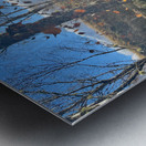 Scenes from the Trail- Autumnal Falling Leaves Metal print