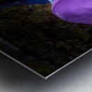 Scenes from the Trail- Mint Tea Metal print