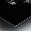 Scenes from the Trail- Mug in Black and White Metal print