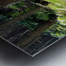 Scenes from the Trail- On the Edge Metal print