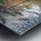 Sunny Roots Metal print