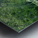 bicycle on ravine bridge Metal print