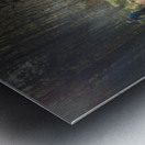 Scenes from the Trail  Unexpected Meetings  Metal print