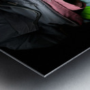 Scenes from the Trail -  Gear  Metal print