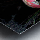 Scenes from the Trail   Fly Agaric Too Metal print