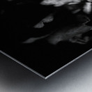 Scenes from the Trail  -Autumnal Leaves in Black and White  Metal print