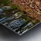 Scenes from the Trail - Fallen Leaves  Metal print