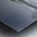 Saucer51A Metal print