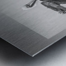 Three Pelicans Triptych in Black and White Metal print