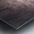 Louisiana Fausse Point State Park  Cypress Tree Metal print