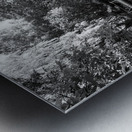  Everyday Lifes Moments - The Shed in Black and White Metal print