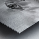 Ode Marítima Metal print