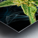 Bud TripleG Metal print
