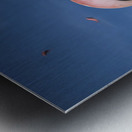 Sui generis Metal print