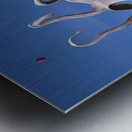 Alis Volat Propriis Metal print