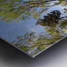  Scottish Highlands Woodland Image  Metal print