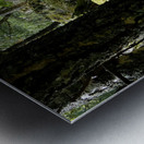 Scottish Woodland  Metal print