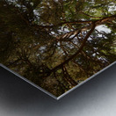 Impressionistic Scottish Highlands Forest   Metal print