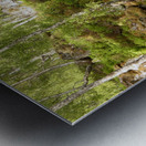 Birch Heather Blay Berries and Moss in the Scottish Highlands Metal print