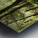 Scottish Highlands Spring Woodland Metal print