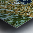 1967 west virginia football art Metal print