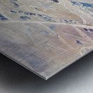 university of nevada 1930s Metal print