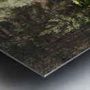 Scottish Highlands Woodland Wish   Metal print