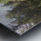 Summer Woodland in the Scottish Highlands  Metal print