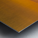 Tender Moment Golden Light Metal print