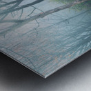 Cool Autumn Fog Trexler Nature Preserve Metal print