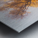 Yellow Autumn Metal print